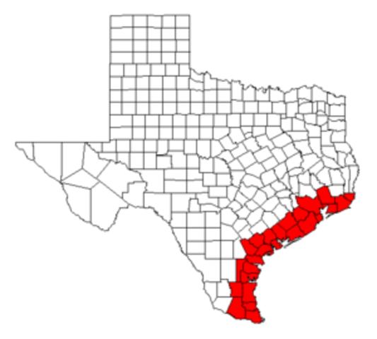 The Battle for the Texas Coast