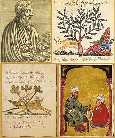 EDAD DE BRONCE -- descubrimientos e intoxicaciones