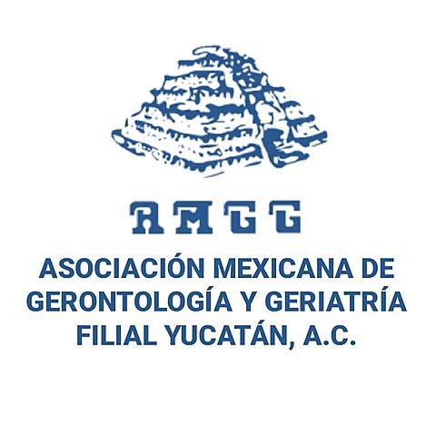 Asociación Mexicana de Geriatría y Gerontología (AMGG).