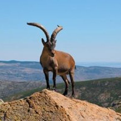 Timeline: las tecnologia