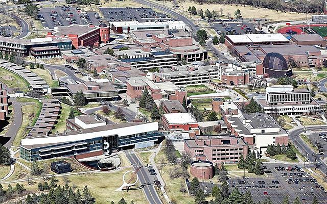 Year 1-- What I'll Be Doing