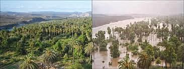 Inundaciones en Guanajuato