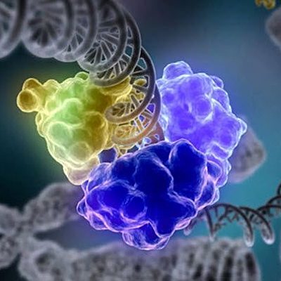 Timeline: Enzimas Microbianas y su Relevancia