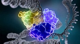 Timeline: Enzimas Microbianas y su Relevancia