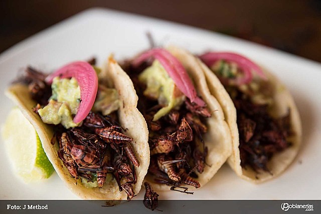 Fusión de ingredientes