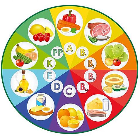 nuevos descubrimientos