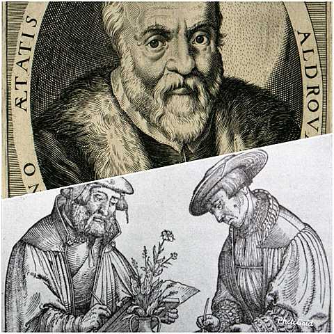 SIGLO XVI (finaliza en 1600)