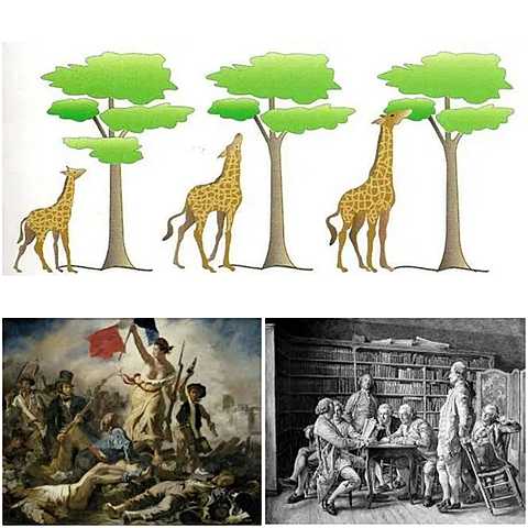 SIGLO XVIII (finaliza en 1800)