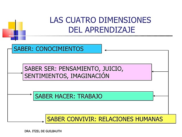 4 Dimensiones del aprendizaje humano