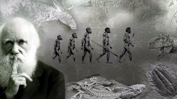 Teoría revolucionaria de la evolución.