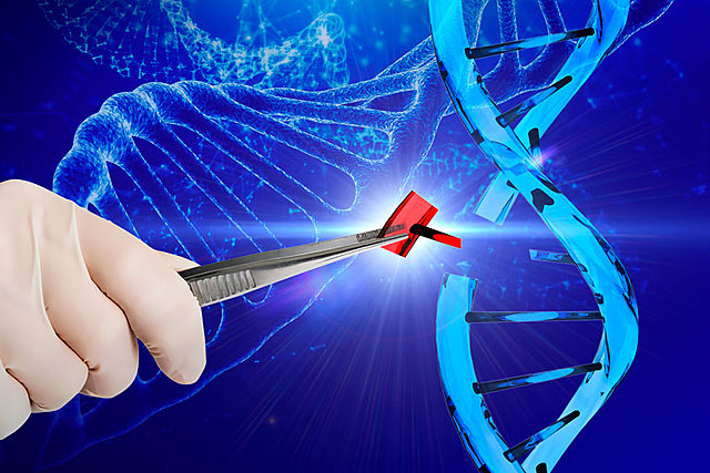 INGENIERÍA GENÉTICA