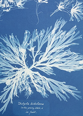 The first book in the world