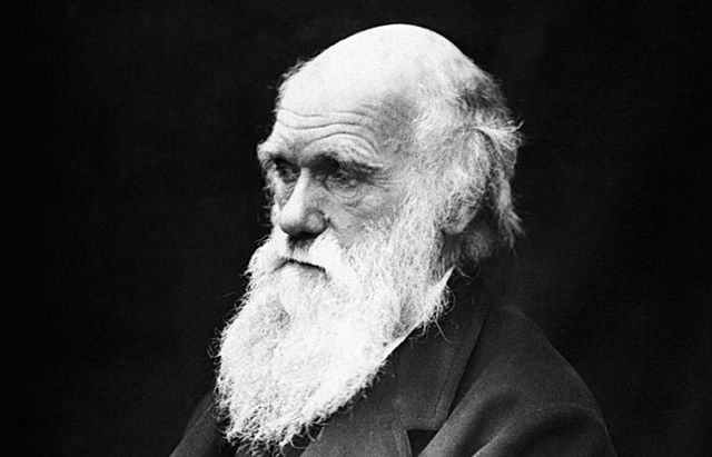 DARWIN (INTERNACIONAL)