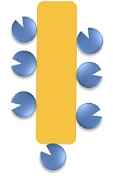 J. M. Nelson y E. G. Griffin