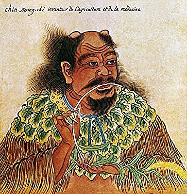 EDAD DE BRONCE -- descubrimientos e intoxicaciones