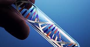 Aislamiento del ADN en una célula