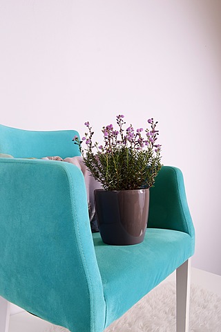 slagelse lejeboliger