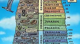 Timeline: History of Life