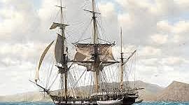 Timeline: Beagle Adventure