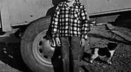 Timeline: Cajas de Carton