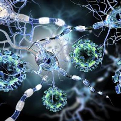 Timeline: HISTORIA DE LA FITOPATOLOGÍA. Erika Vanegas