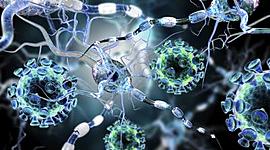 Timeline: HISTORIA DE LA FITOPATOLOGÍA. Erika Vanegas