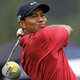 Tiger woods