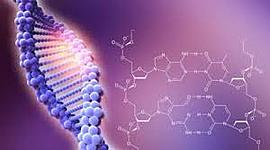 Timeline: HISTORIA DE LA GENÉTICA