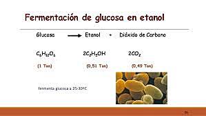 Transformación de glucosa a etanol
