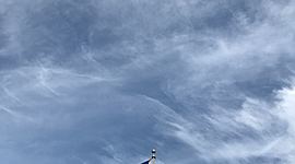 Timeline: Le 20e siècle