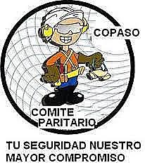 Reglamentación del COPASO