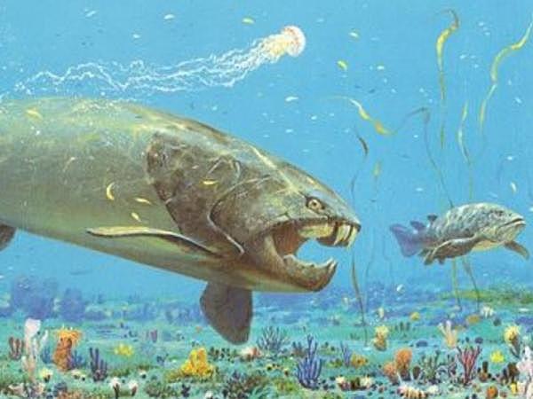 Sucesos importantes (periodo devónico)