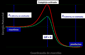 Napoleón y su elección
