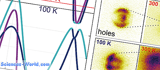 "Potencial Químico"