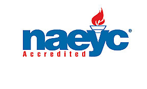 NAEYC ( The National Association for the Education of Young Children)
