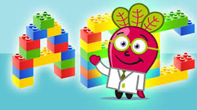 Wayne Hodgins Propone la Metafora del LEGO