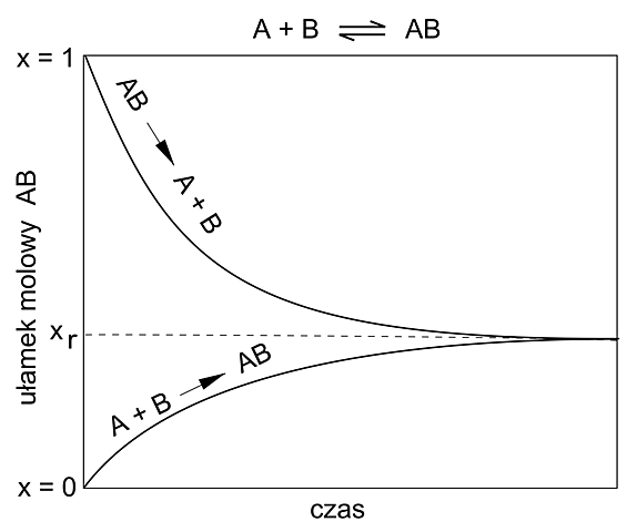 Velocidad de reacción en una analogía con la teoría de colisiones de los gases"