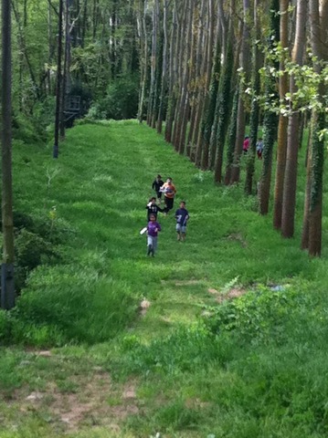 Jornada esportiva al bosc!