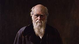 Timeline: Darwin's Observations