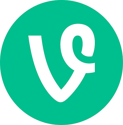 Vine