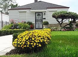 Michael Jackson birthday