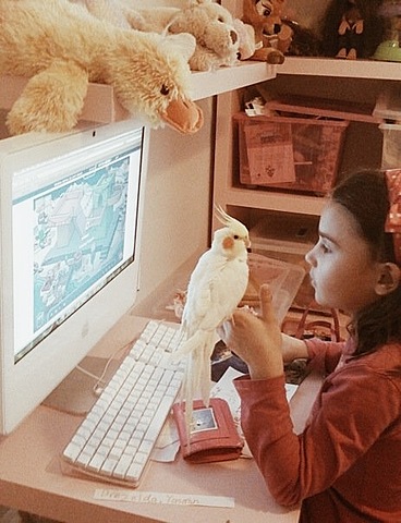 We got a pet bird, Sunny.