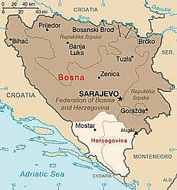 Bosnia Declares Independence