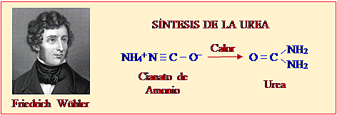 Síntesis de la urea