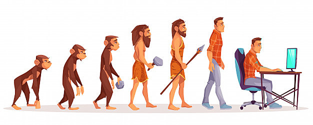Evolución histórica