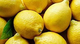 Timeline: Lemons