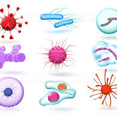 Timeline: Historia de la microbiologia