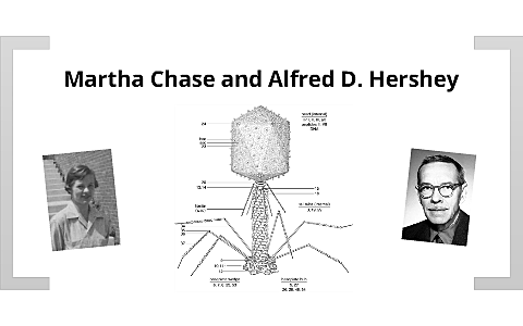 Instrucciones genéticas