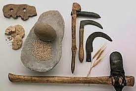 Prehistoria y microbiologia