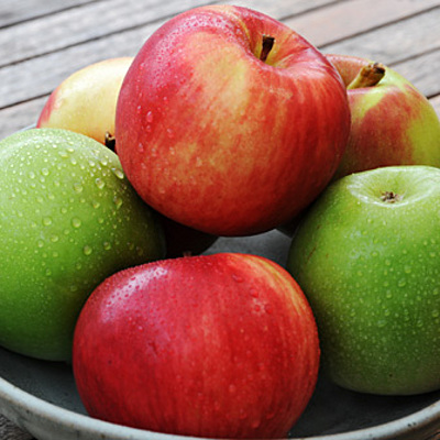 Timeline: Από τον σπόρο στον καρπό